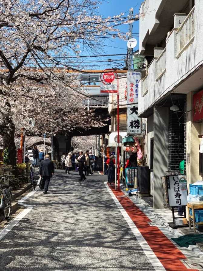 長黑洞，東京