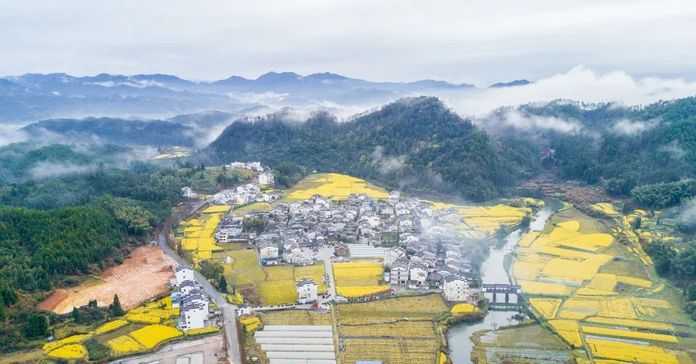 這裡還被譽為