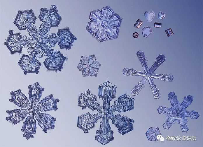 9f248a1fedc8c1b9fc0f2c7163a8745fb3b23121-1 當然有的雪花長得就比較奇怪