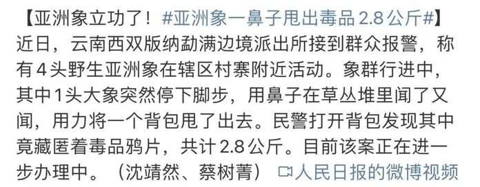 a180972ba9f057af924f3f67658462b8c4489182 亞洲象:隨手,不是,隨鼻舉報