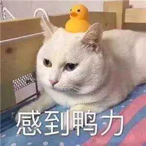 英國雜誌「經濟學人」發佈