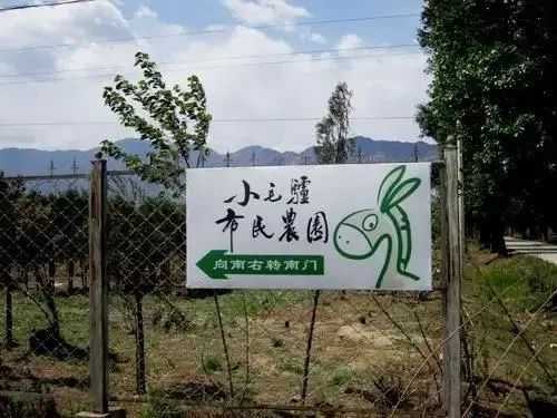 憑藉著導師溫鐵軍和