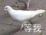 a708a145ca5fbc8db977b945c991f1e7ff956003