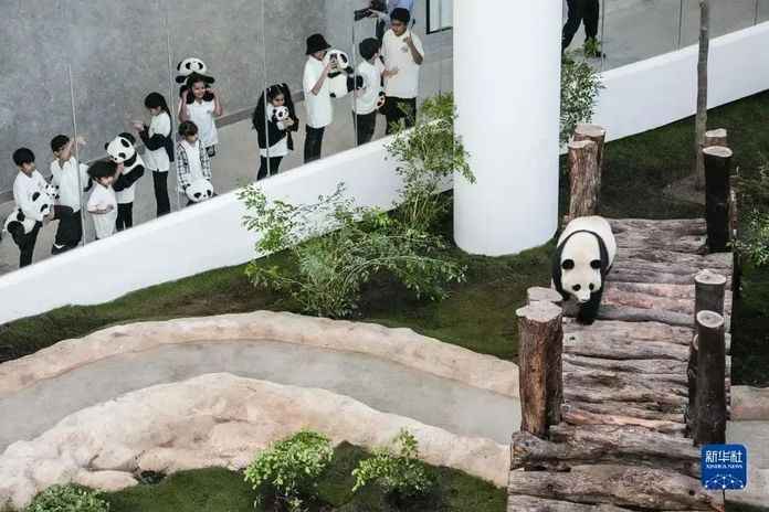 圖源：新華社