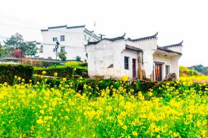 接下來要說的是李坑村