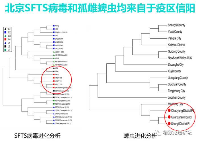 ab5d2df63165da4bd31713760e9271c0a434e053