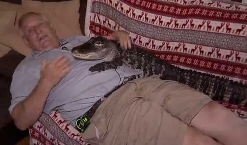 累了就趴在一起睡覺