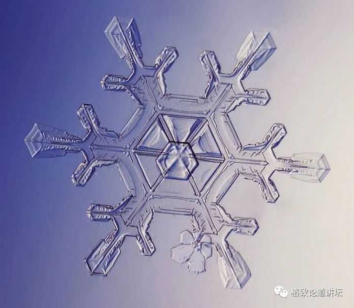 b2fb6bbc2db6c3e909902954c7563fe9e122f8d0-1 (滑動查看圖片)
