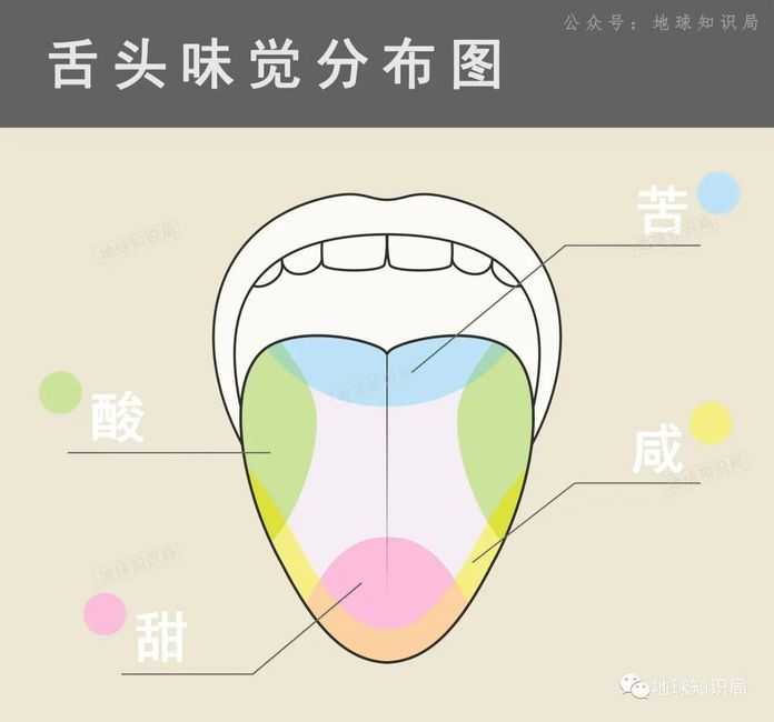 b7c278a76bbc8c7b8216c0563b1a7659965dcdcf (參考:shutterstock)