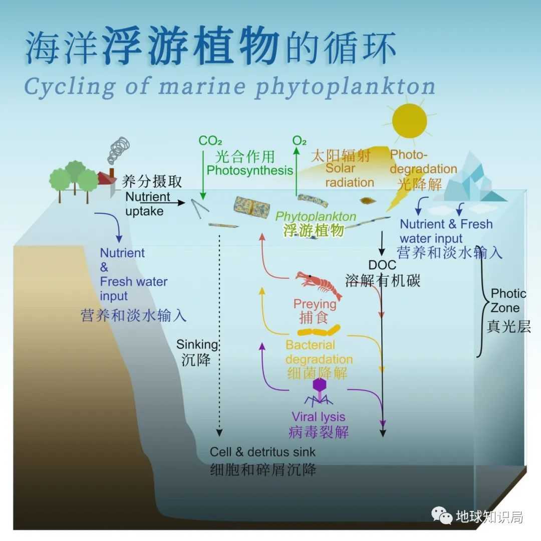 （來源：wiki）