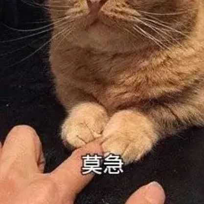 c1400f11e5b54a4da4ae603301796046b4ca958c