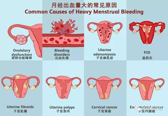 c2117d9d78252fbc5b71906b95b244ba1e7f209a (圖:verywellhealth)