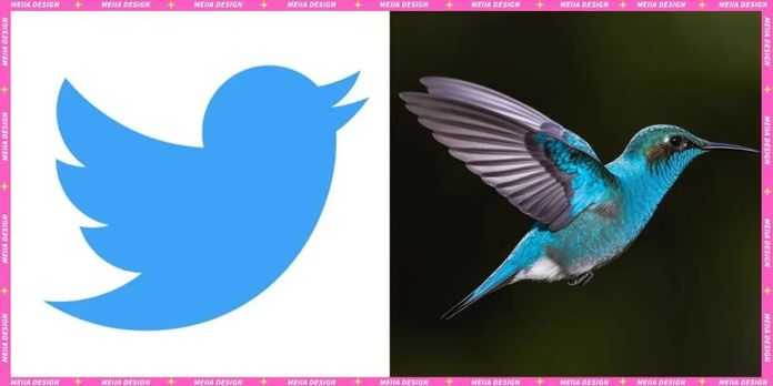 c6683170263d6675a6cb34ed360fb2700c2e14ef 拉夫勞倫
