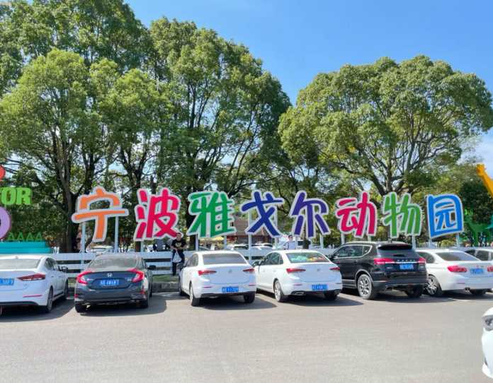 孩子從小學到初中，能看到雅戈爾學校