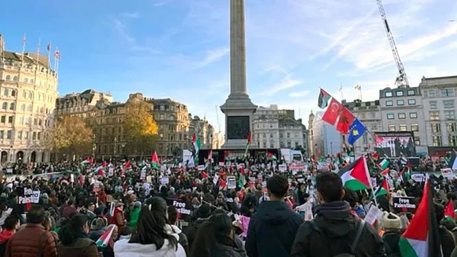 c_pic_170112067638365