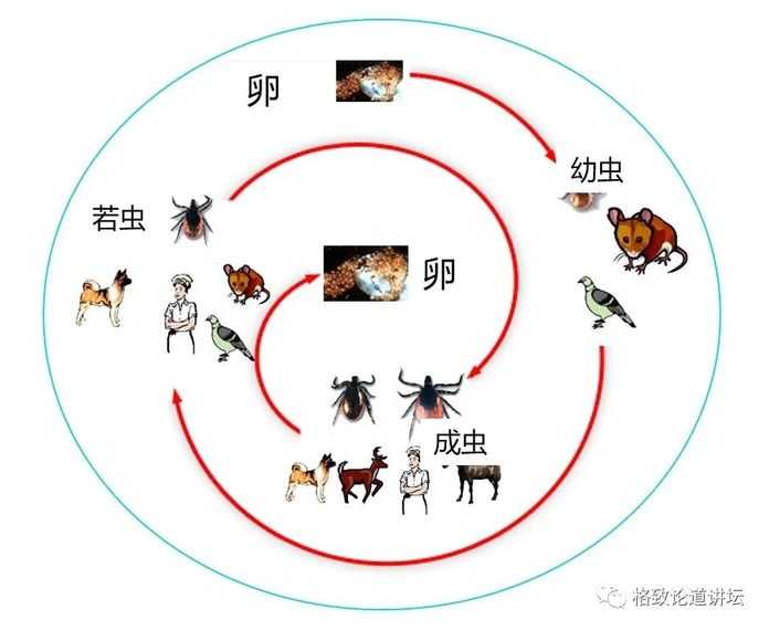 cf7c7e72211dbee064af5605873492d593cf7851