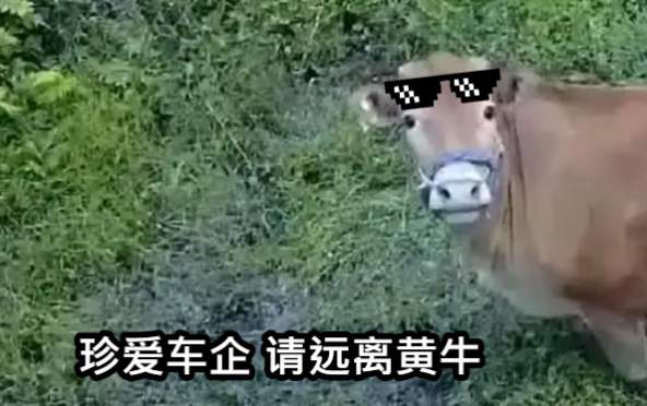 d0e9641ad8278e8a1e971dfd3e212503f6e5c898