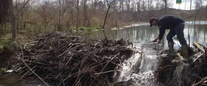 da29c99e0d1b224095504de031fdcfaaaa91b43c
