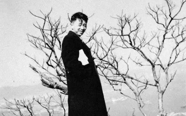 平庸的人生，往往是由於不夠狂野