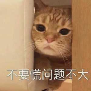 其實很多人可能也都知道，