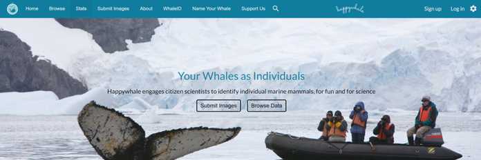 Happywhale 官網地址