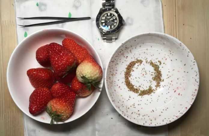 e7e345ca3a70029e741e8c2d79510607367cb175