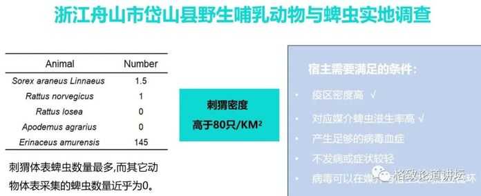 eaf9c629b0813d68be1f12469d031bf002a72923 可能刺蝟就是病毒的宿主