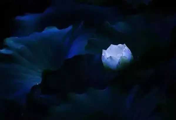 eb1e62f8c0b981da0a4eeea2d9bbb012a226a7df