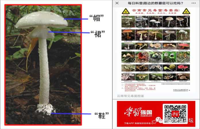 ef2bd0f28f555822afeccb0369f3a1621ed07367 我們總結了一個口訣