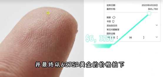但今年他們不玩小