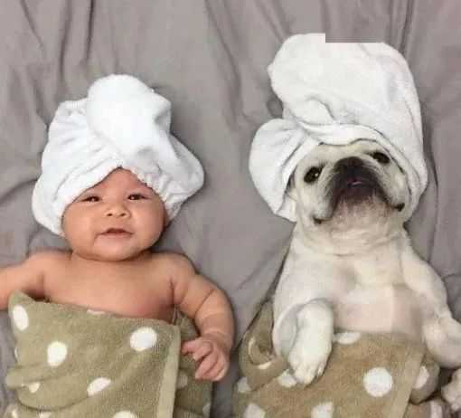 f0c0a7eec17c0a80a1a8af8359ed5b388306aa04 圖源:Pinterest