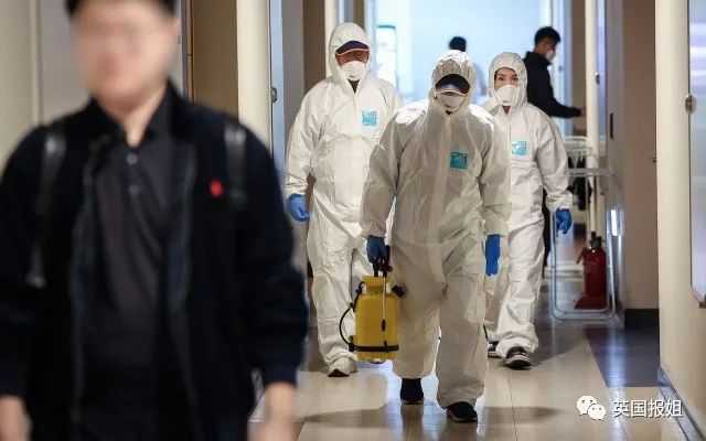 政府分階段部署了「三步法除蟲方案」