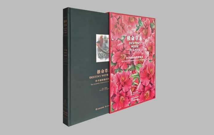 畫作分為草木和玄鳥兩個部分