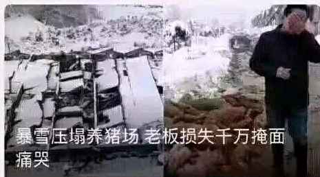 fa362e43a50a1ef2328613bf66feec2e46bcb840 還有網友做表情包吐槽