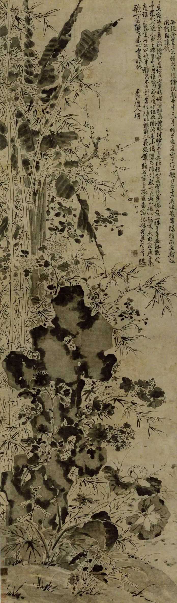徐渭 十六花姨圖 費城藝術博物館