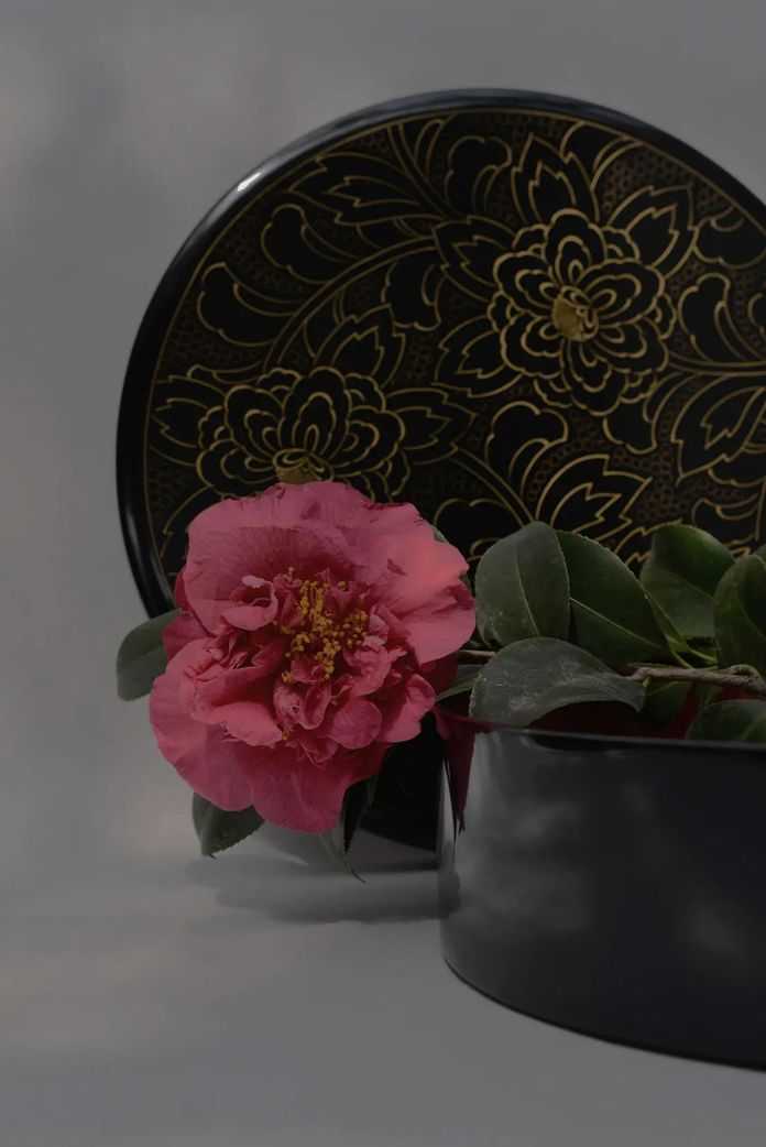 fb00f89943c50e958321784f978a67314fa85d30 繪畫中的漆器