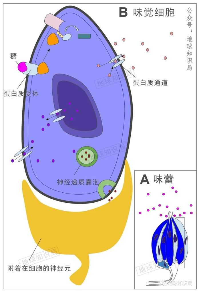 fe5116b36a22320ab27846b6aa0c05edf3daede8 (參考:wiki)