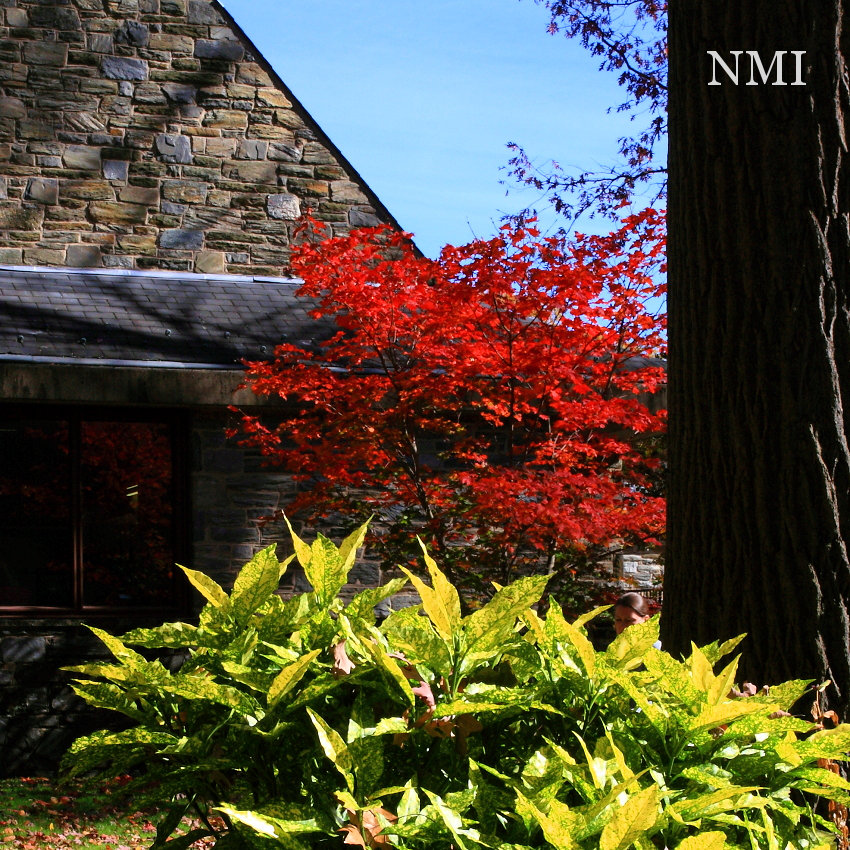 nmi-20131104-5839-850