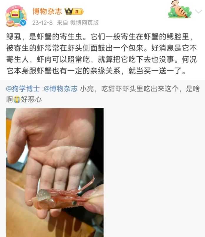 5013375cddcfcfeed9a3bb9dc757f1763e538f04 圖源:@微博狗學博士