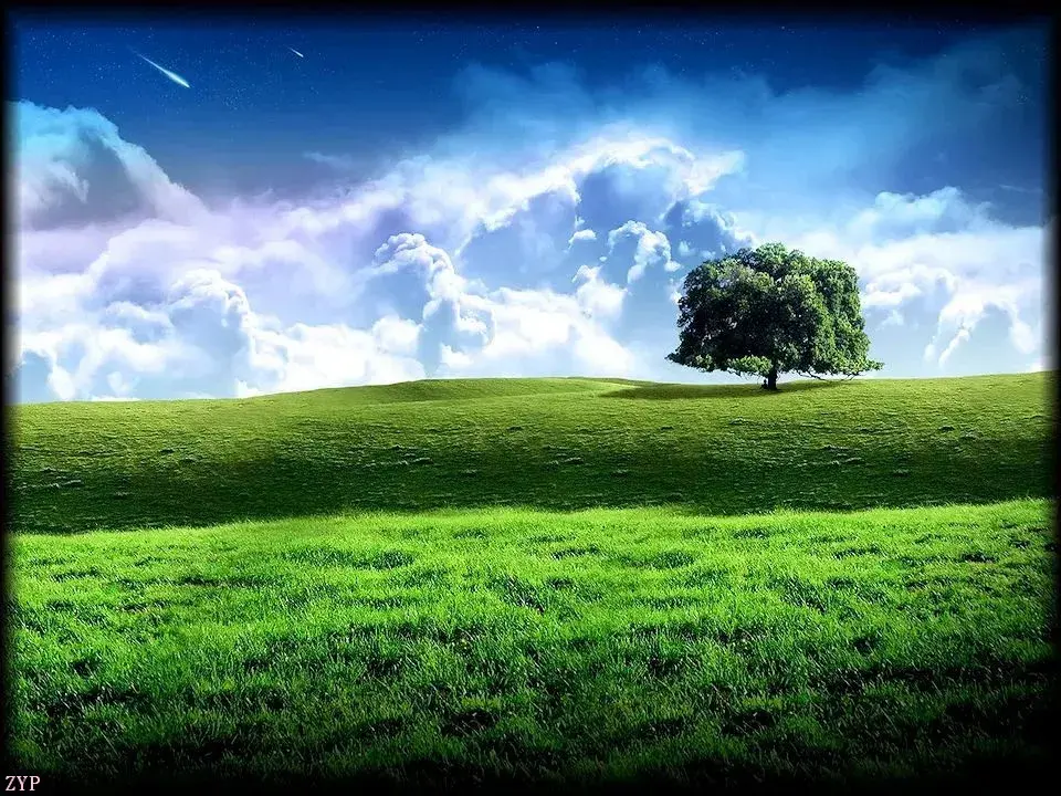 069e10c31bf34aa4baed620973da2ad9noop