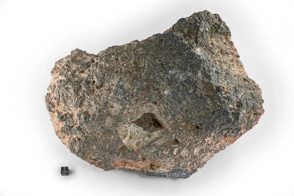 195724274404