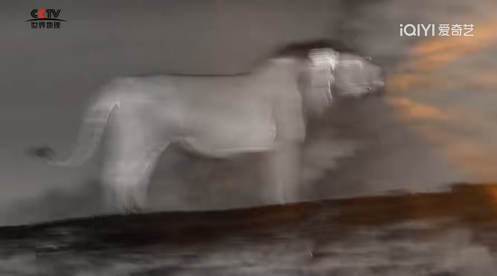 516-1