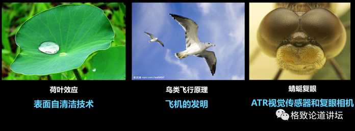 4d44c0d8cdfc8fc489434b4ebdd432384dcc38a6