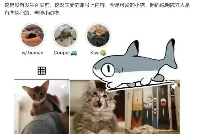 他那麼愛小貓，怎麼可能殺人呢