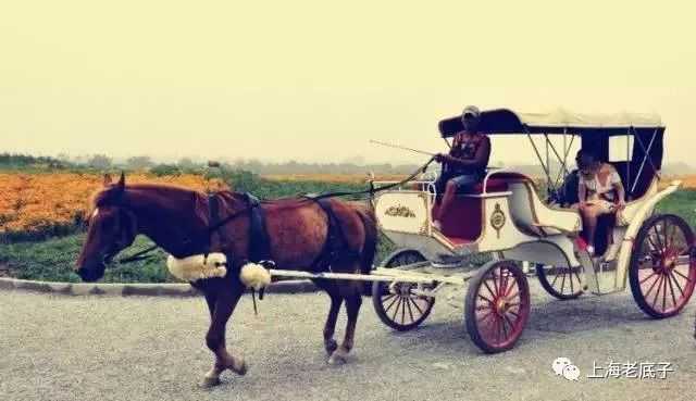 f0e565bd1cd2559c6c4cacbd1b12e7700cdea04d 西洋馬車