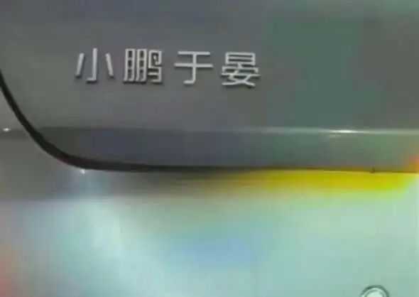 1fde5da85c793ede680ee7fd8cd79329d2549142 頭頂的福字充滿靈性
