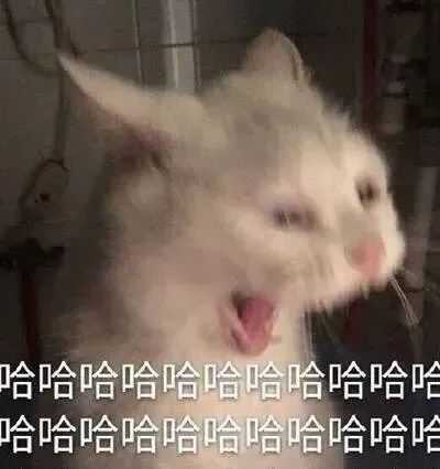 410c4e6a5017e2b3d00ebf2512aacb9bee459cf4
