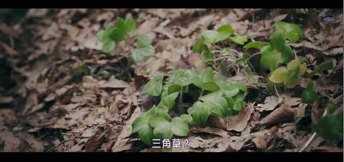 52a33908cb4d6da86b50b212f08ede3f67863d42 黑暗來自鎮子上的這所學校