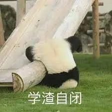 c_pic_170761437667254