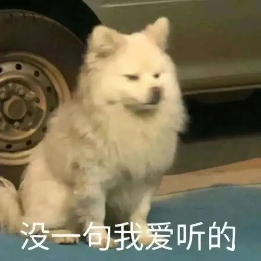 c_pic_170761437895757